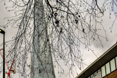 London_walk_14012024-10