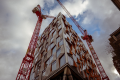 London_walk_14012024-17