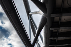 London_walk_14012024-24