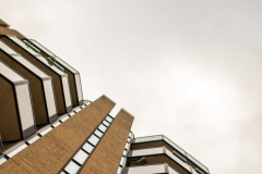 London_walk_14012024-29