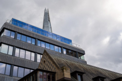 London_walk_14012024-30
