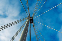 London_walk_14012024-51