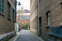 London_walk_14012024-6