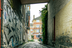 London_walk_14012024-7