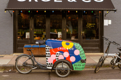 London_walk_14012024-2